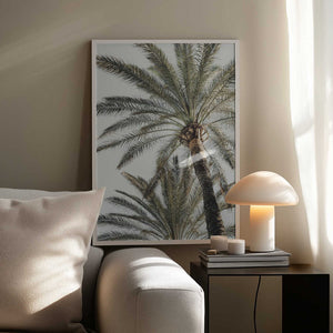 Tablou înramat „Palm_005” de Pictufy Studio III