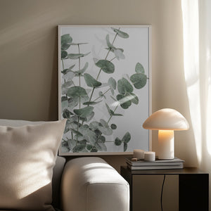 Tablou înramat „Eucalyptus_003” de Pictufy Studio III