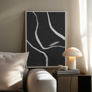 Tablou înramat „Monochrome Paths” de uplusmestudio