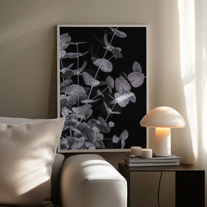 Tablou înramat „Eucalyptus_Negative_003” de Pictufy Studio III