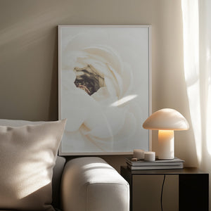 Tablou înramat „White Flower 01” de Pictufy Studio III