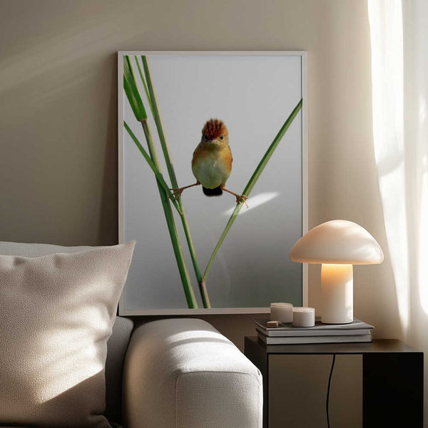 Tablou înramat „Kung Fu Master” de Lina Gunawan