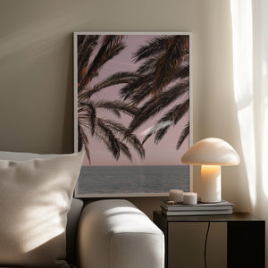 Tablou înramat „Palm_011” de Pictufy Studio III
