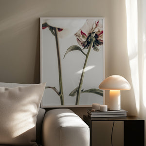 Tablou înramat „Peony 01” de Pictufy Studio III