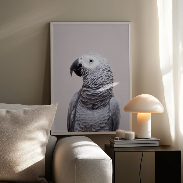 Tablou înramat „African Grey” de Kathrin Pienaar