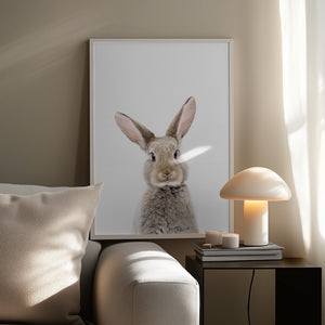 Tablou înramat „Baby Rabbit” de Kathrin Pienaar