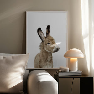 Tablou înramat „Baby Donkey” de Kathrin Pienaar