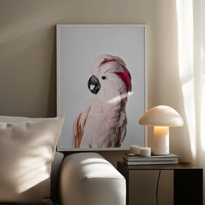 Tablou înramat „Pink Cockatoo” de Kathrin Pienaar