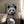 Tablou înramat „cat on panda bear” de Adam Lawless