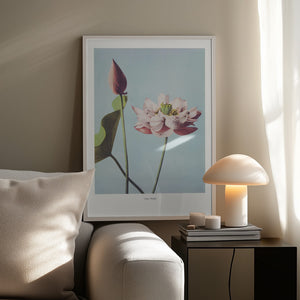 Tablou înramat „ Lotus Flowers” de Ogawa Kazumasa
