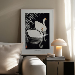 Tablou înramat „White Chinese Geese Swimming by Reeds” de Ohara Koson