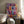 Tablou înramat „Ponies” de Pauline Wegman | Key and Sea Creative