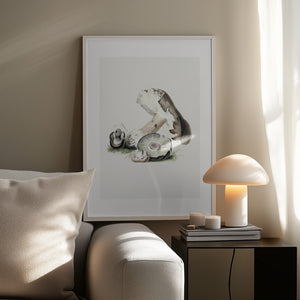 Tablou înramat „Vintage Agaricus Augustus Mushroom 50x70” de Biodiversity Heritage Library