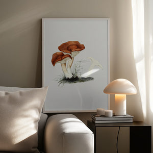 Tablou înramat „Hand Drawn Rufous Milkcap Mushroom” de Biodiversity Heritage Library