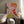 Tablou înramat „Organic Bauhaus Waved2” de Ana Rut Bre