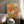 Tablou înramat „Spring Mid Rhapsody Orange 3” de Ana Rut Bre