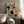Tablou înramat „Mid Century Cut Outs2” de Ana Rut Bre