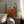Tablou înramat „Ethereal Blossom Glow” de Dorothy Fagan