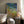 Tablou înramat „Vibrant Water Lilies” de Dorothy Fagan