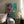 Tablou înramat „Vivid Colors And Delicate Petals” de Dorothy Fagan