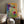 Tablou înramat „Vibrant Blossoms” de Dorothy Fagan
