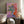 Tablou înramat „Vibrant Petals” de Dorothy Fagan