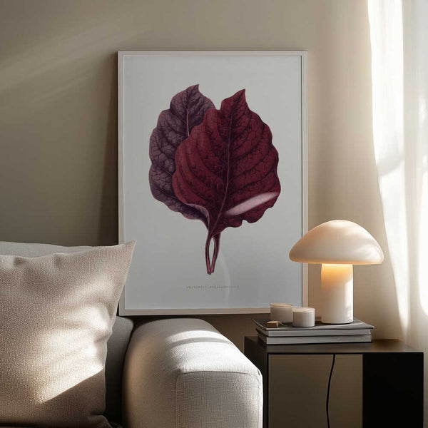 Tablou înramat „Pink Amarantus Leaf Illustration” de Les Plantes a Feuillage Colore
