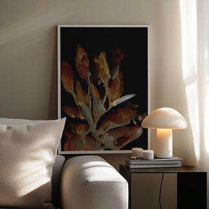 Tablou înramat „Night Plant” de Dan Hobday