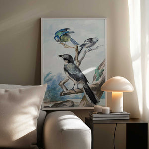 Tablou înramat „Three Birds” de Aert Schouman