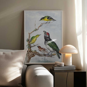 Tablou înramat „Four Different Birds On a Branch” de Aert Schouman