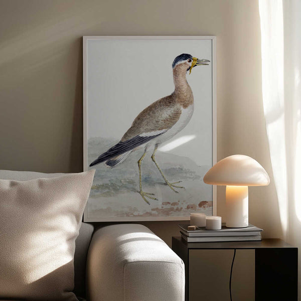 Tablou înramat „A Yellow Wattled Lapwing” de Aert Schouman