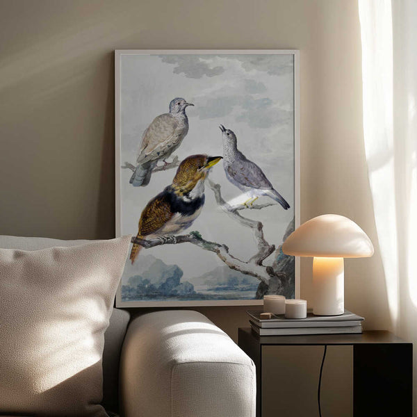 Tablou înramat „Three Birds, Two Inca Pigeons and a Collared Bearded Cuckoo” de Aert Schouman