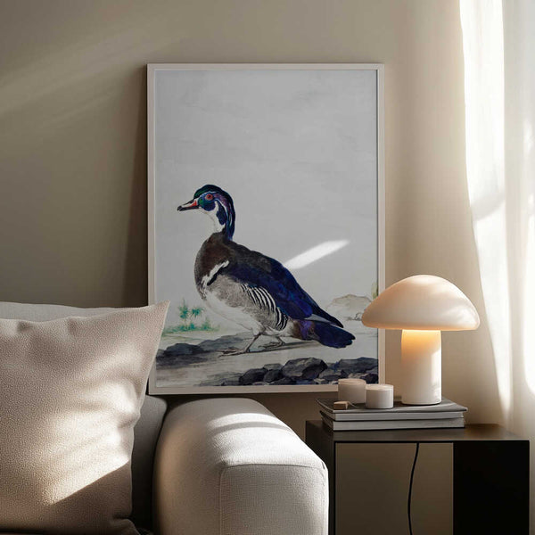 Tablou înramat „A Duck” de Aert Schouman