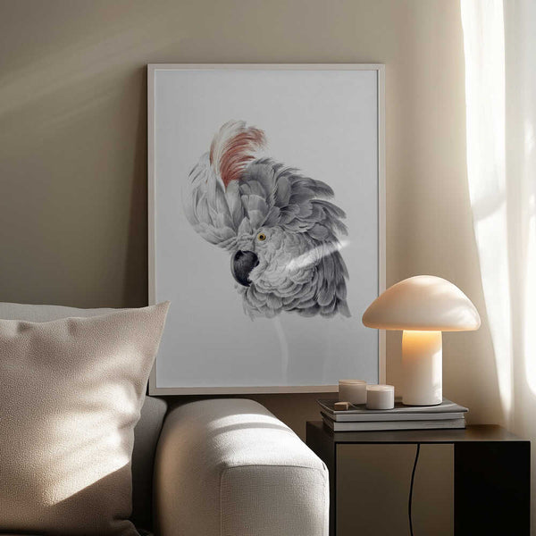 Tablou înramat „Cockatoo Head” de Aert Schouman