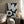Tablou înramat „Sounds of Surprise – Wow” de Sarah Bühler
