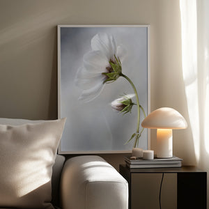 Tablou înramat „Heavenly Cosmos” de Mandy Disher