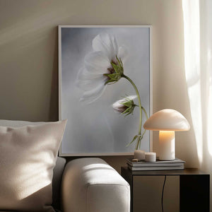 Tablou înramat „Heavenly Cosmos” de Mandy Disher