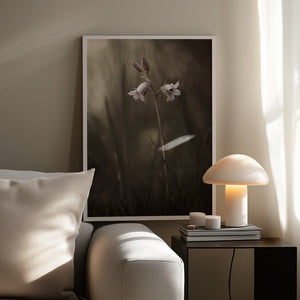 Tablou înramat „A small flower on the ground” de Allan Wallberg