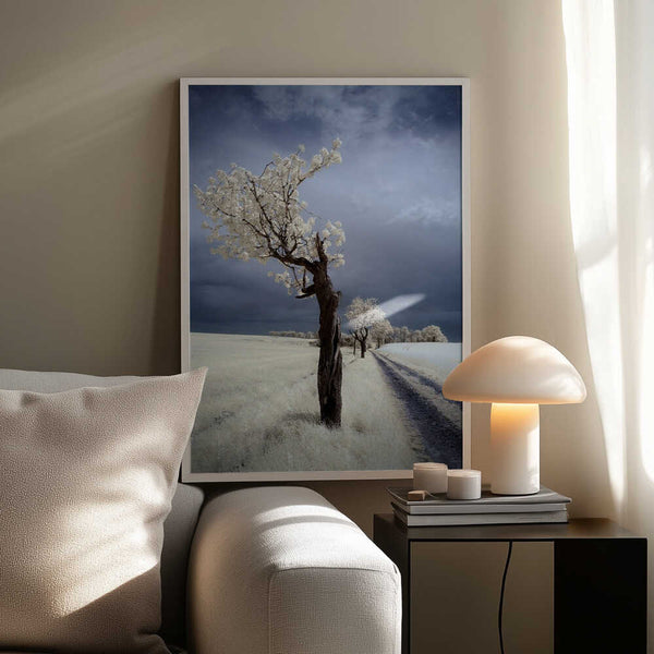 Tablou înramat „IRenka” de Piotr Krol (Bax)