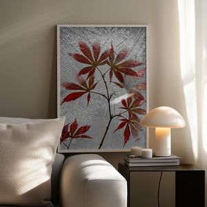 Tablou înramat „red maple” de Secundino Losada
