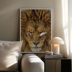 Tablou înramat „Serious Lion” de Mike Centioli