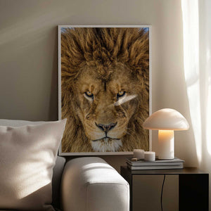 Tablou înramat „Serious Lion” de Mike Centioli