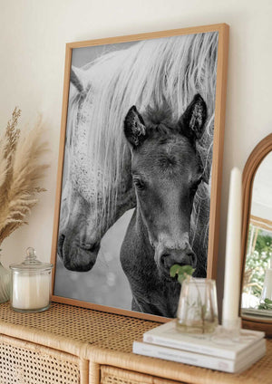 Tablou înramat „The Foal” de Jacky Parker