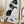 Tablou înramat „Cat Lover” de Pictufy Studio II