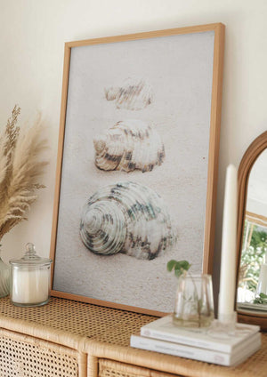 Tablou înramat „Shells” de Pictufy Studio III