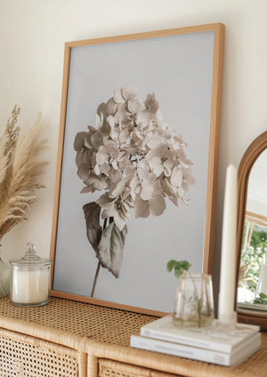 Tablou înramat „Beige dried flower” de Pictufy Studio III