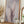 Tablou înramat „Pampas Grass” de Pictufy Studio III