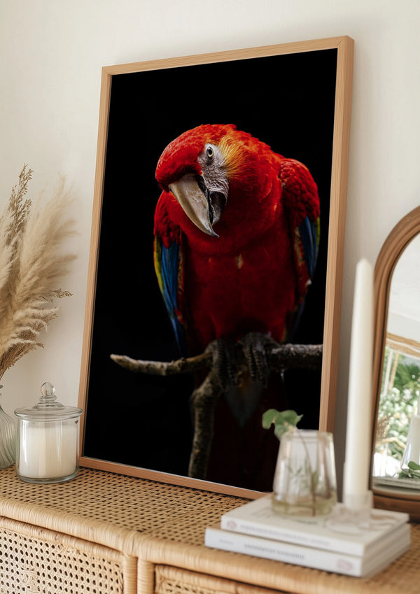 Tablou înramat „Portrait of Scarlet Macaw” de Andi Halil