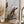 Tablou înramat „Dried_001” de Pictufy Studio III