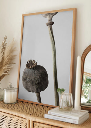 Tablou înramat „Dried_005” de Pictufy Studio III